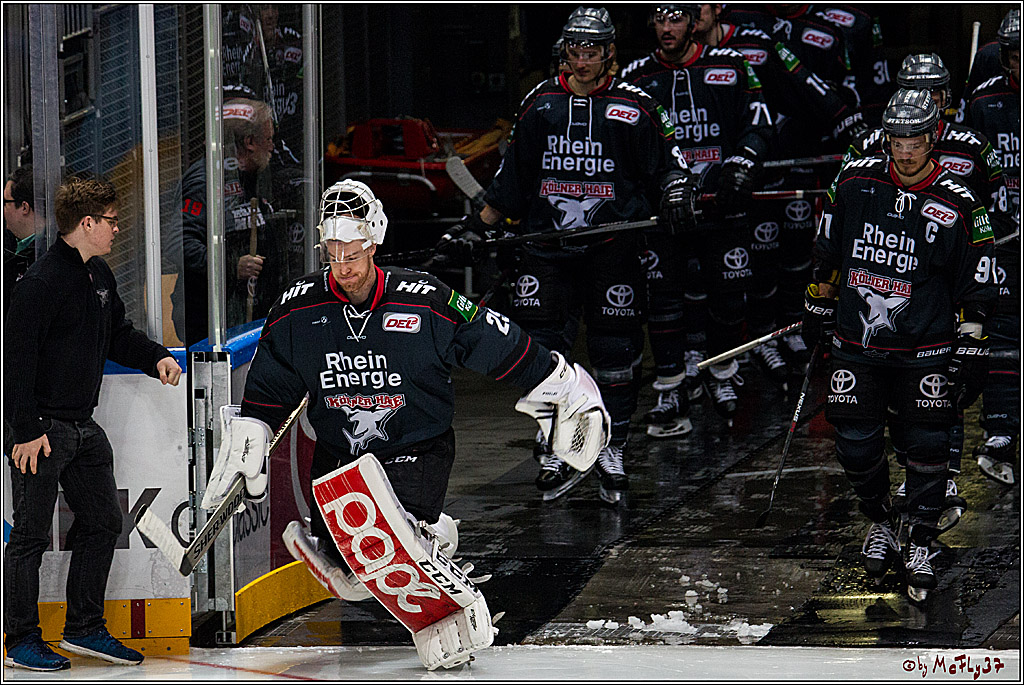 Koelner Haie - Eisbaeren Berlin, 13.11.2016